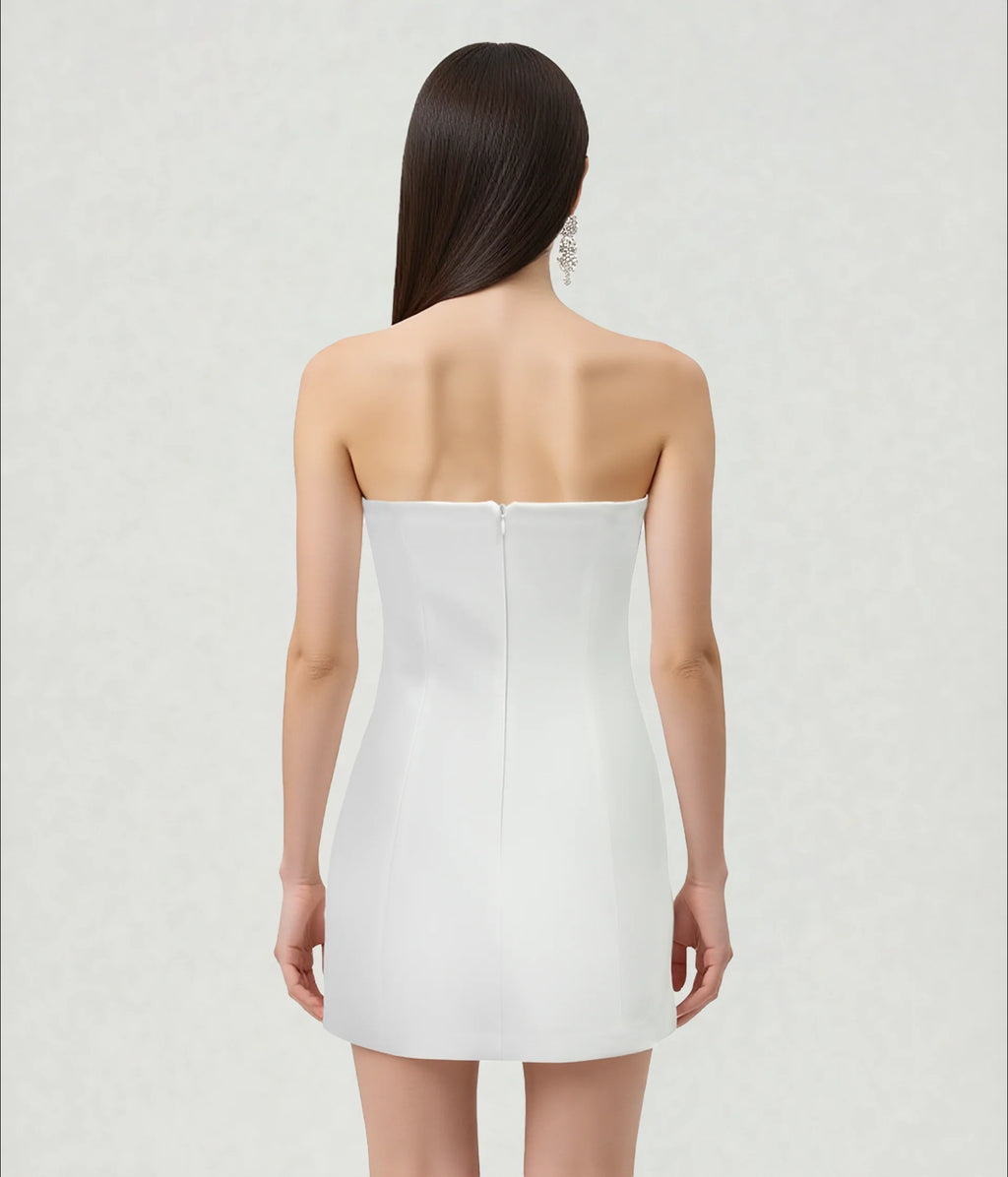 JW PEI Iris Applique Mini Dress
